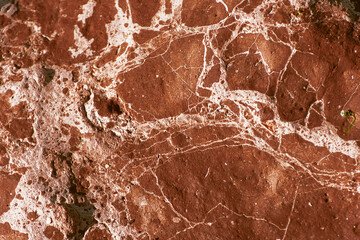 brown background of natural drawing on a stone