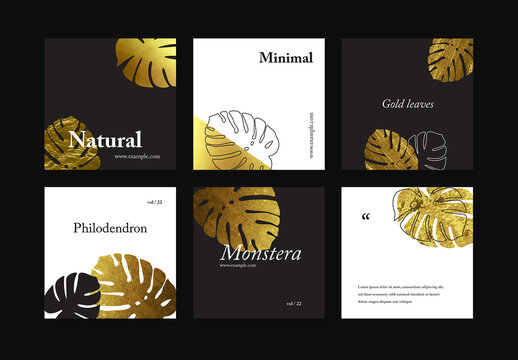 Monstera Leaves Social Media Post Layouts