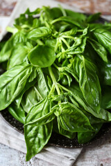 Juicy green basil on a plate.