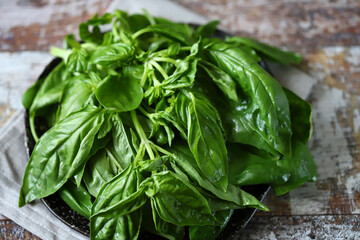 Juicy green basil on a plate.