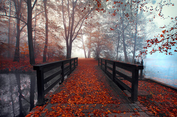 Jesień, mglisty krajobraz - obrazy, fototapety, plakaty