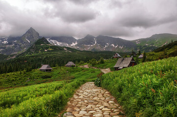 Tatry Hala gąsienicowa, krajobraz górski. Widok na Kościelec
