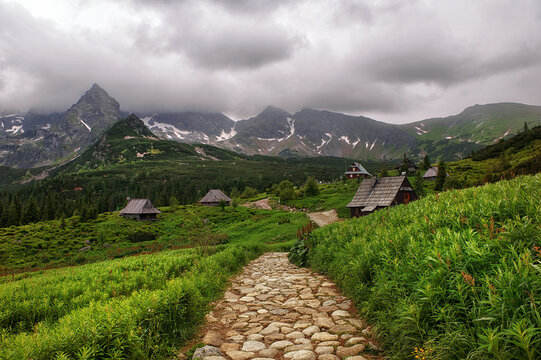 Tatry Hala Gąsienicowa