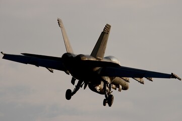 Silhouette of F/A-18 HORNET from backside