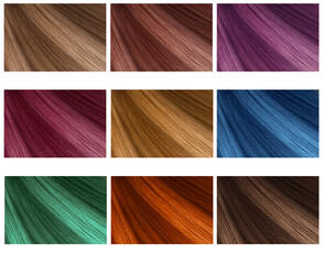 Hair Collection, shades, set of nine colors. straight hair.