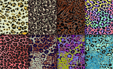 Leopard pattern, jaguar pattern, animal fur