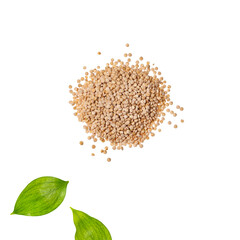 Chenopodium quinoa - Dry organic quinoa seeds
