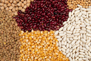 Fiber source examples