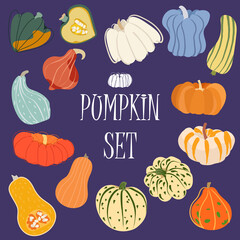 Halloween set of different sort, shape and color pumpkins on violet background. Vector illustration