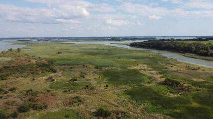 Nature Russia Landscape forest lake