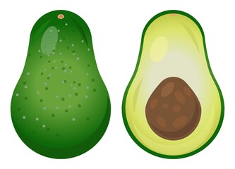 Fresh Avocado Illustration. Delicious Avocado. Sliced Avocado