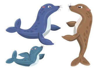 Cartoon Seal Family. Seals On White Background. Baby Seal. Adult Seal. Brown Seal