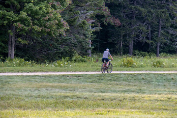 Naklejka na ściany i meble man riding trail bike on path in forest