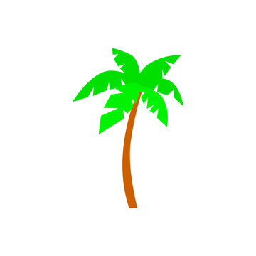 Palm flat icon. Maldives attribute. Tropical resort. Color filled symbol. Isolated vector illustration