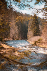 river in autumn forest