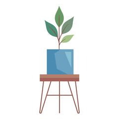 houseplant in blue pot