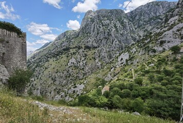 summer day in the town of motor montenegro