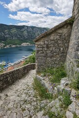 beautiful summer day in the city of kotor montenegro