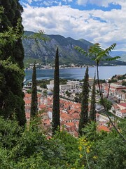 beautiful summer day in the city of kotor montenegro