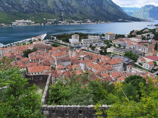 beautiful summer day in the city of kotor montenegro