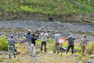 カメラマンとヒグマ（北海道・知床）
