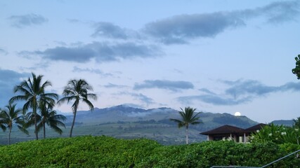 tropical landscape with palm trees.  Maui Halaeakala moonrise.