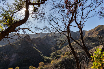 Fototapeta na wymiar mountain scenery with sun rays and trees
