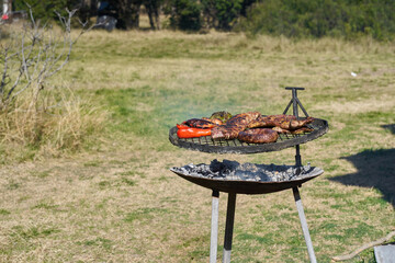 garden outdoor barbecue. Meat and vegetables Copy space