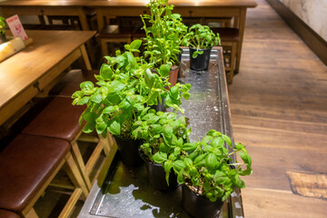 オーストラリアのシドニーにある観光名所を観光している風景 Scenes of sightseeing in Sydney, Australia.