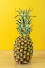 Whole ripe pineapple from latin america on pine wood table and yellow background