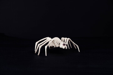 Fototapeta premium Araña