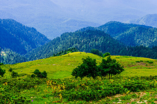 Beautiful Summer sunny mountains with clouds and meadow