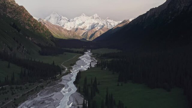 Mountains and trees at sunset.