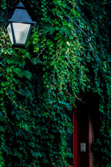 lantern in the night