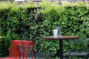 garden bench in garden