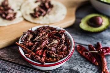 grasshoppers or chapulines snack. Traditional mexican food from Oaxaca Mexico