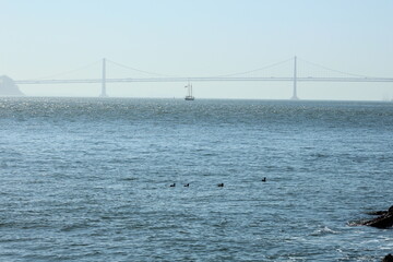 Golden Gate Bridge in mist