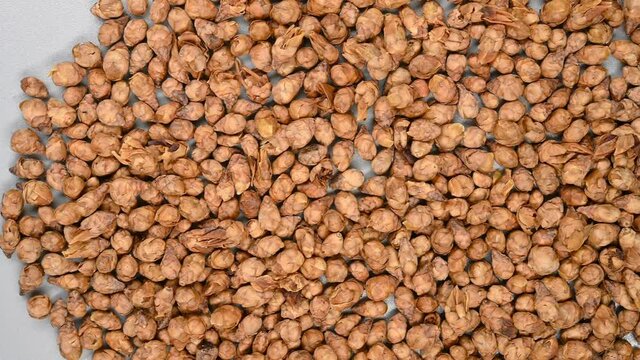 top pan herb Lameihua or Chimonathi Praecocis Flos or Winteersweet Flower Bud