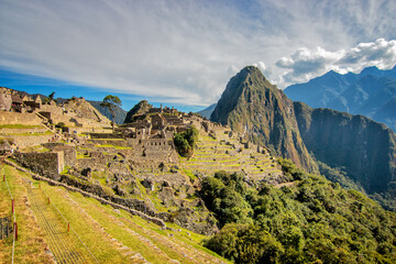 Fototapeta na wymiar view to residential zone in Machu Picchu and its lonely tree, Peru 