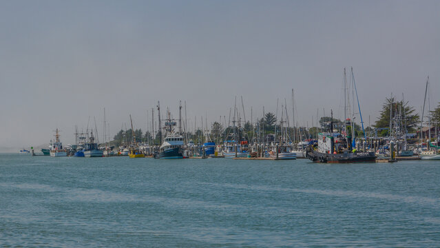 Woodley Island Marina in the port city of Eureka. On the Humboldt Bay harbor of Humboldt County, California