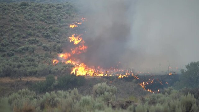 Bulldozer Helping To Extinguish Flames In Bushes And Dry Nature, Wildfire In Prairie Environment