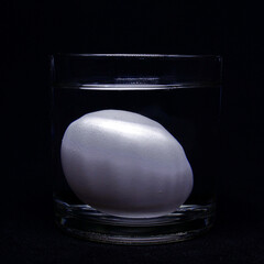 Egg density experiment in water. Egg and unsalted water does not float