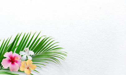 Green palm leaf and tropical flowers on white paper background, Hibiscus, top view with copy space