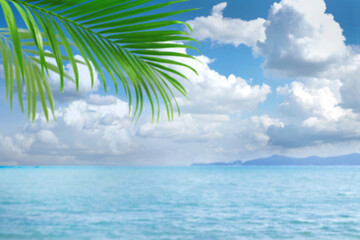 Blurred palm leave over sea view background, tropical palm tree with copy space, summer background  for mockup backdrop.