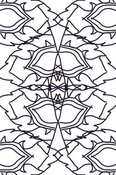 spider on a web,Thai madala by Latisha