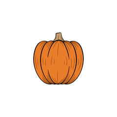 Pumpkin handdrawn illustration design template isolated