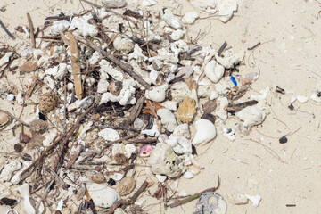 Garbage, shell fragments, wood shavings come into the sea.