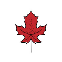 Autumn fall leaf hand drawn illustration design template isolated