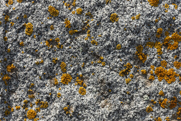 Close-up of gray stones of mountain rocks covered with moss. Mountains covered with a pattern of chips, cracks, vegetation and moss