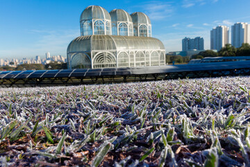 Frost in the Botanical Garden of Curitiba.